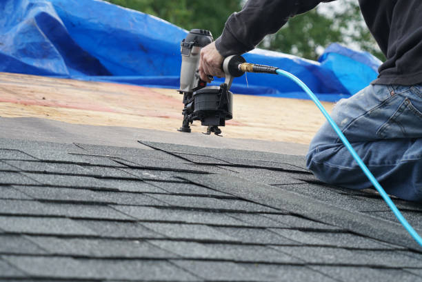 Best Flat Roof Repair Services  in Winsted, MN