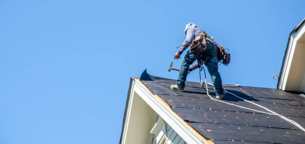 Best Roof Gutter Cleaning  in Winsted, MN
